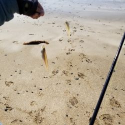 自粛中につき県内です