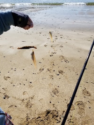 自粛中につき県内です