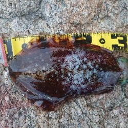 仕事帰りにちょこっと