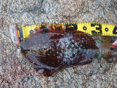 仕事帰りにちょこっと