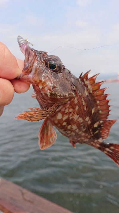 南港ガシリング