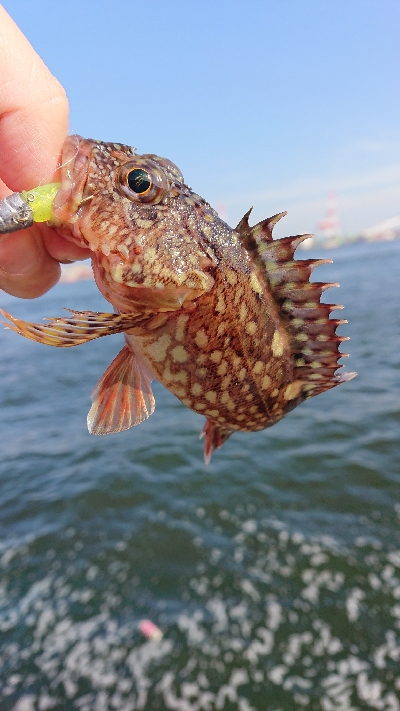 南港ガシリング