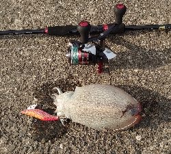 渋い中、なんとか2杯