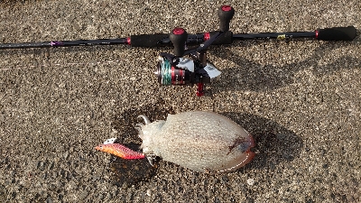 渋い中、なんとか2杯