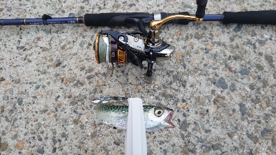 ダイソーバイブ