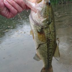 ギルパターン②