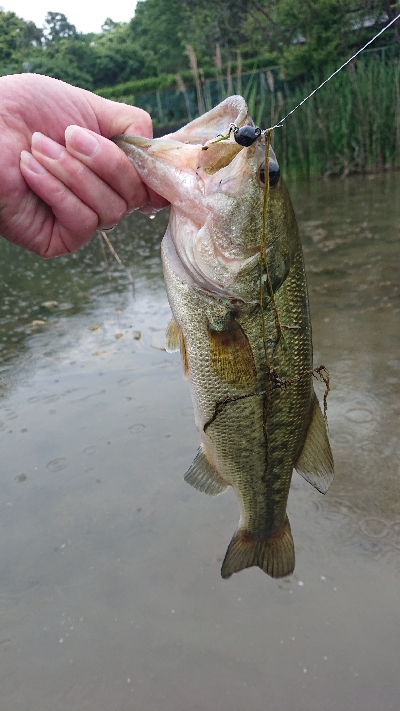 ギルパターン②