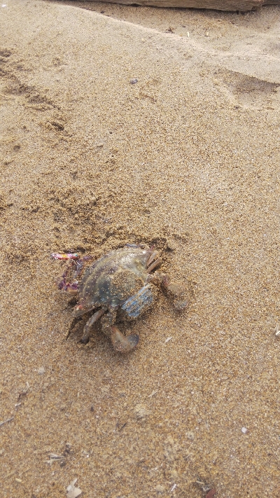 久しぶりの釣り