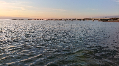 久々のアジング