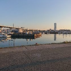 ささっとアジ調査