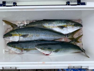 オフショアキャスティングゲーム