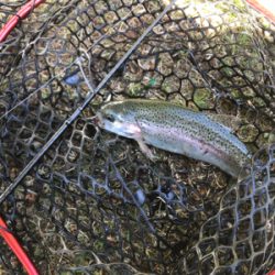 久しぶりの管理釣り場