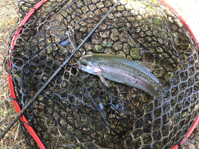 久しぶりの管理釣り場