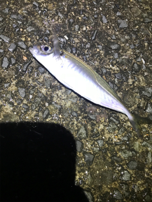 フロートアジング