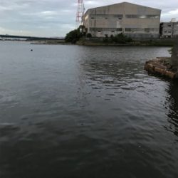 シーバス釣行 1