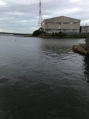 シーバス釣行 1