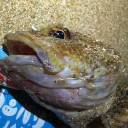 ドラマは最後に。