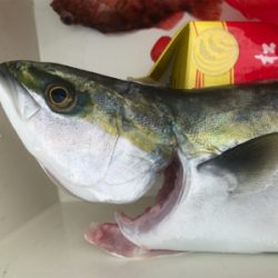 キャスティング