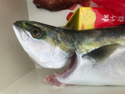 キャスティング