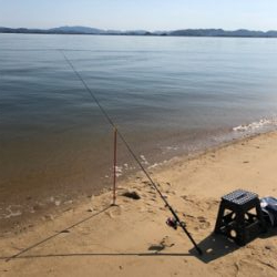 シロギスライトゲーム