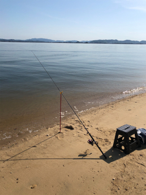 シロギスライトゲーム