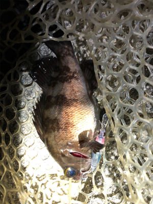 プラグでも、ワームでも!