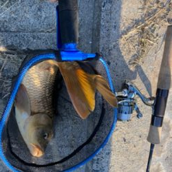 自粛継続中　海はまだ釣り物少ないし