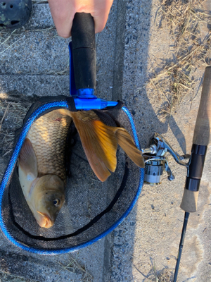 自粛継続中　海はまだ釣り物少ないし