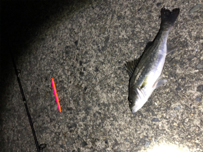 よくあたりました！