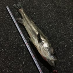 なかなかヒットせず苦戦