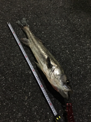 なかなかヒットせず苦戦