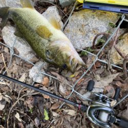 午前バスフィッシング