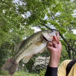 ポッパーゲーム