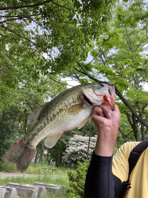 ポッパーゲーム