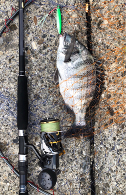 ライトショアチニング！？