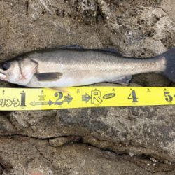 沖磯 ショアジギング♪GUNNING-STYLE