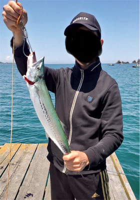 サゴシ&タチウオ