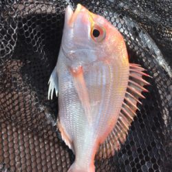 京都府北部に弟とボート釣行