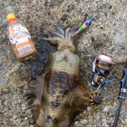 午後からの釣行