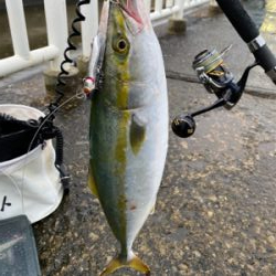 朝は魚釣り園、夕方から川