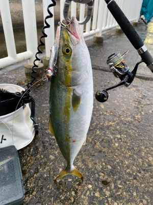 朝は魚釣り園、夕方から川