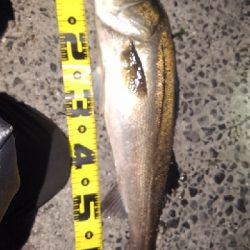 そろそろバチ終了の気配