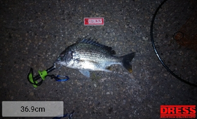 今年初の釣果？