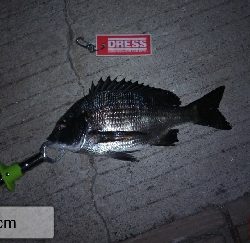 ど干潮で釣れる時もある