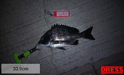 ど干潮で釣れる時もある