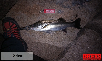 釣り座を変えたら別ゲスト