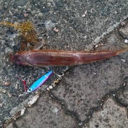 自粛明けは茶色だけかぁ