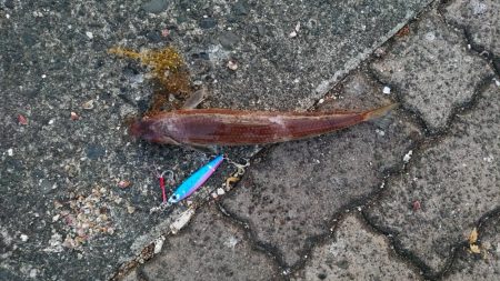 自粛明けは茶色だけかぁ