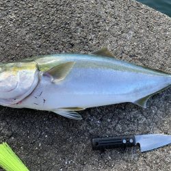 短時間、ミノー縛り