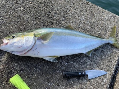 短時間、ミノー縛り